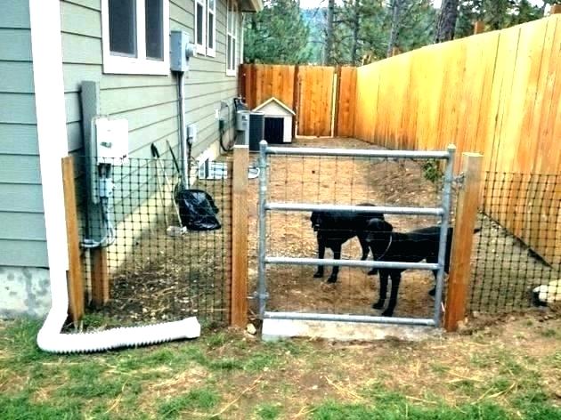 fence your dog